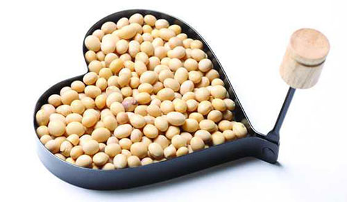 ������֬�Ĺ�Ч������ ������֬����Ч��